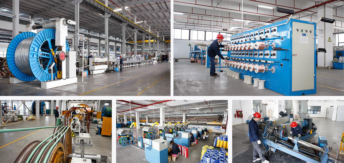 嫩草影院免费版科技部分店(diàn)面风采